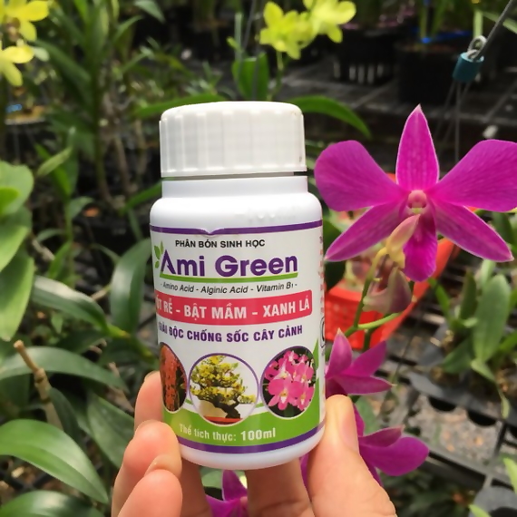 Phân bón sinh học Ami green - chai 100ml kích rễ, giải độc hữu cơ cho cây